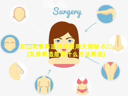 东山乳晕再造手术费用大揭秘 🌸 (乳晕再造是用什么方法再造)